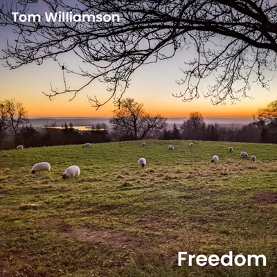 Freedom (feat. Donan Vye) - Single