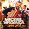 Viva A Nossa Concertina - Micael Vingança