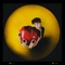 Adamo Ed Eva - Luigi Strangis lyrics