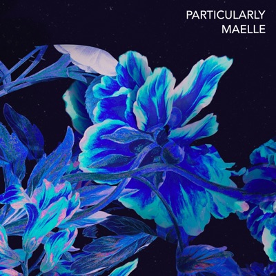 Particularly (feat. Drvmmer) - Single