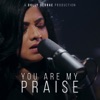 You Are My Praise - Single