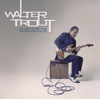 Blues for the Modern Daze - Walter Trout