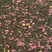 we goin be okay - Single - MeekAintShit