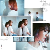 Red Diary 'Hidden Track' - Single - BOL4