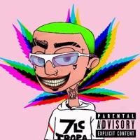 Lucidez (feat. Alef Mc & Dj Sv 7Lc) - Single - Lil Paulista