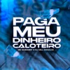 Paga Meu Dinheiro Caloteiro - Single