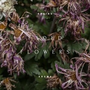 Faded Flowers - EP