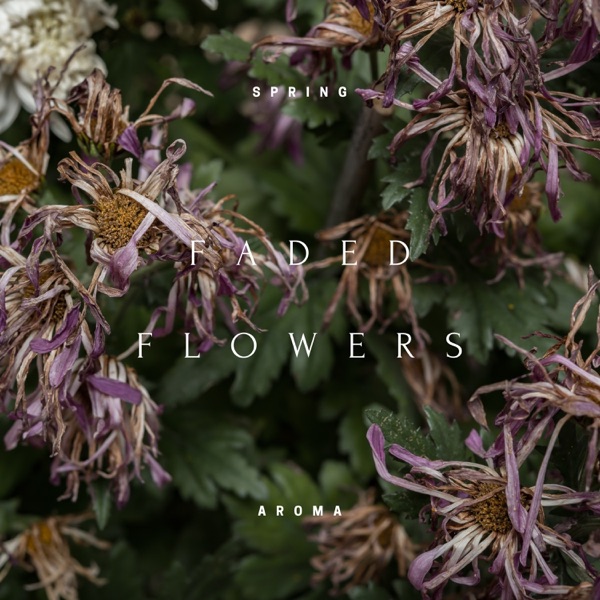 Faded Flowers - EP