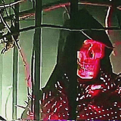 LA Cypher, Pt. 2 (feat. Seejayxo, Xoxoswitch, ashes. & Noahmadethiss) - Single