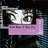 End Now I See You - Single - Kaiyko