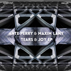 Tears & Joy - Single