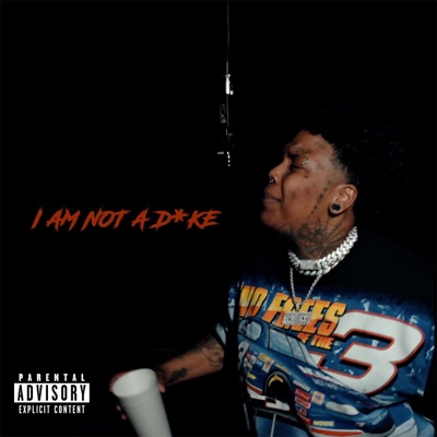 I Am Not a Dyke - Single