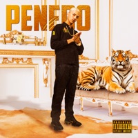 Listra de tigre (feat. Penedo) - Single - Viceversa