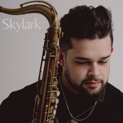 Skylark - Single