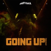 Going Up (Higher) artwork