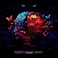 Whats On My Mind? (Deluxe) - EP - Senor Draz
