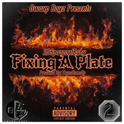 Fixing a Plate - Single