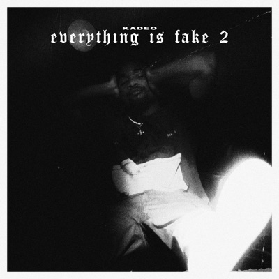 Everything is Fake 2