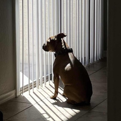 Easter Weekend - Single