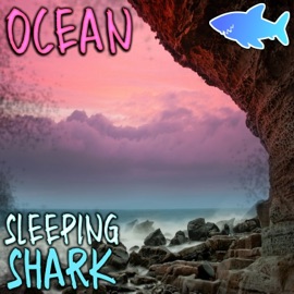 Ocean SleepingShark