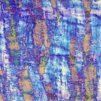 Blue Rose - EP - More Milk