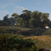 The Woodland Guardians