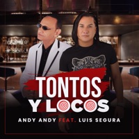 Tontos y Locos (feat. Luis Segura) - Single - Andy Andy