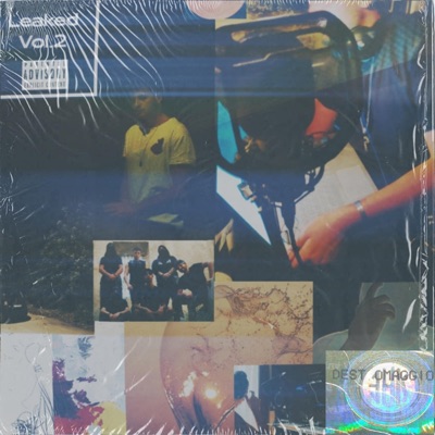 Leaked, Vol. 2