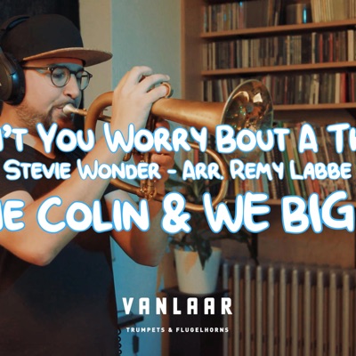 Don't You Worry 'Bout a Thing (feat. We Big Band) - Single
