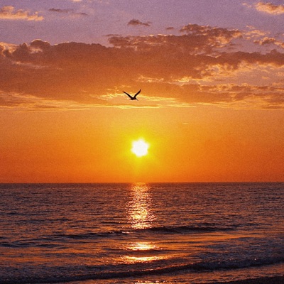 Sunset (Acoustic) - Single