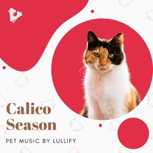 Calico Season