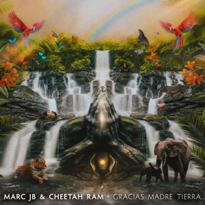 Gracias Madre Tierra - Single