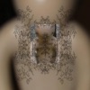 The Angels Floss Their Teeth With My Bones - EP
