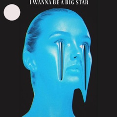 I WANNA BE a BIG STAR (feat. Cakes Da Killa & Wreckno) - Single