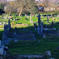 Voice of the Streets - Single - HaloDD