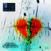 Reisepass - Single - Pashu