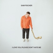 I Love You, Please Don't Hate Me artwork