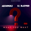 What You Want (feat. Meechowensz) - Single