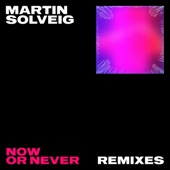 Now Or Never (Remixes) - EP artwork