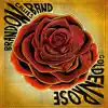 Golden Rose