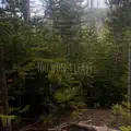 You Won't Leave