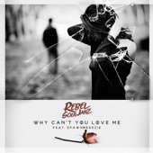 Why Can't You Love Me (feat. Spawnbreezie) artwork