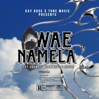 Wae namela (feat. Tone Music, Shambi, Officixl Keyz & Putchi) - Single - Kay Rose