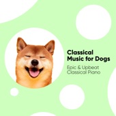 Classical Music for Dogs: Epic & Upbeat Classical Piano artwork