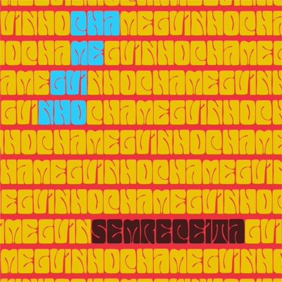 Chameguinho (feat. Junix 11) - Single