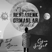 Rengarenk Ormanlar - Akustik artwork