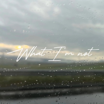 What I'm not - Single