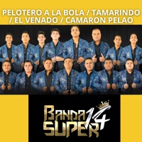 Pelotero a la Bola / Tamarindo / El Venado / Camarón Pelao - EP - Banda Super 14