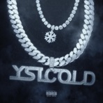 YSL Cold - Single