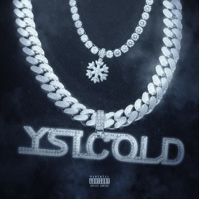 YSL Cold - Single